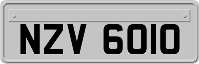 NZV6010