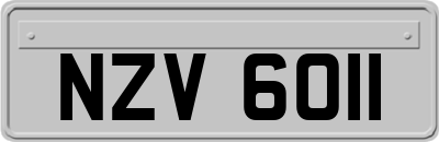 NZV6011