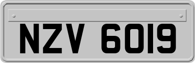 NZV6019