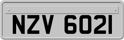 NZV6021
