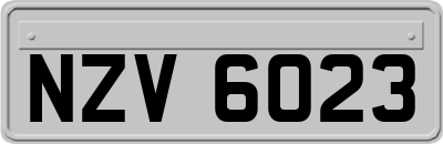 NZV6023