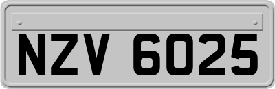 NZV6025