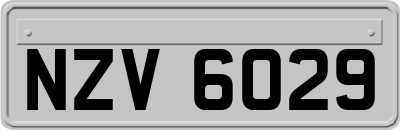 NZV6029