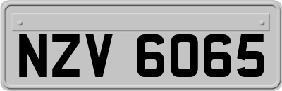 NZV6065