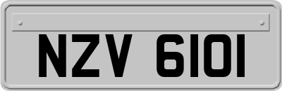NZV6101