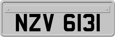 NZV6131
