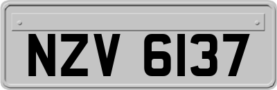 NZV6137