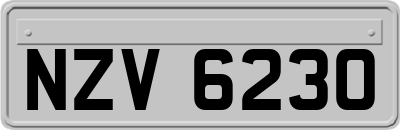 NZV6230