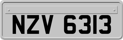NZV6313