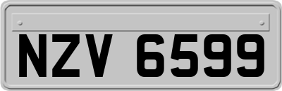 NZV6599