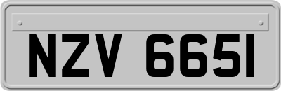 NZV6651