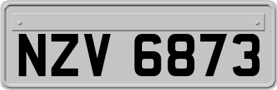NZV6873