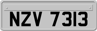 NZV7313