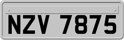 NZV7875