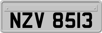 NZV8513