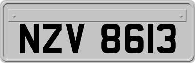 NZV8613