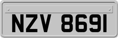 NZV8691