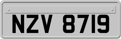 NZV8719