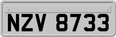 NZV8733