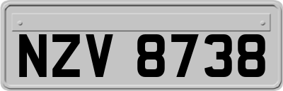 NZV8738
