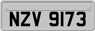 NZV9173
