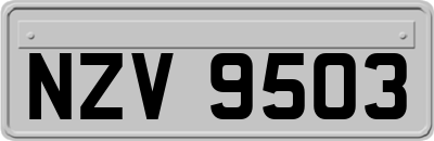 NZV9503