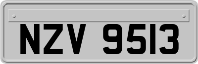 NZV9513