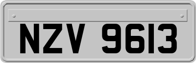 NZV9613
