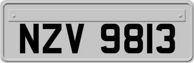 NZV9813