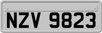 NZV9823