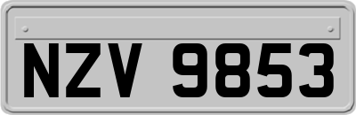 NZV9853