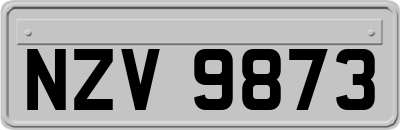 NZV9873