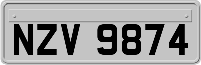 NZV9874