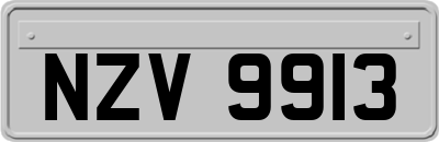 NZV9913