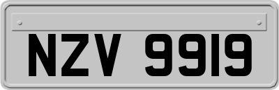 NZV9919