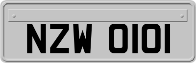 NZW0101
