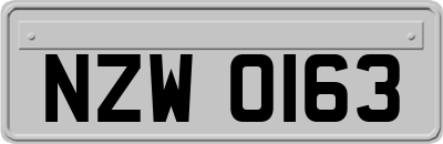 NZW0163