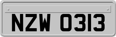 NZW0313