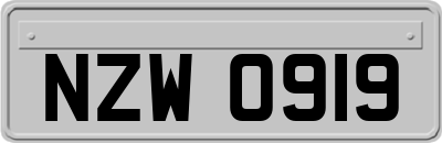 NZW0919