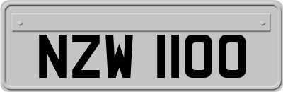NZW1100
