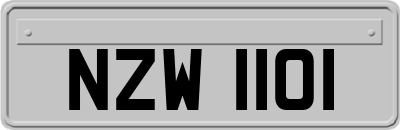 NZW1101
