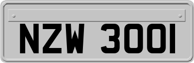 NZW3001