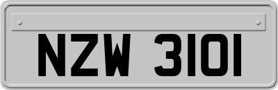 NZW3101