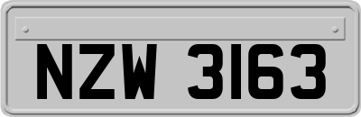 NZW3163