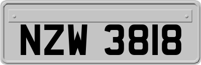 NZW3818