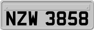 NZW3858
