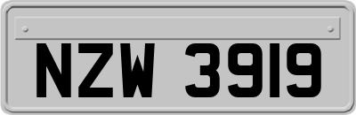 NZW3919