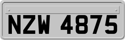 NZW4875