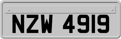 NZW4919