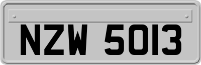 NZW5013